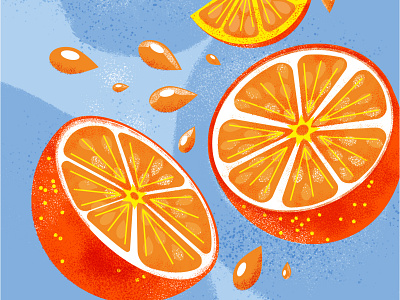 Orange Fresh art branding design fruit fruits graphic design illustration illustrator packaging vector