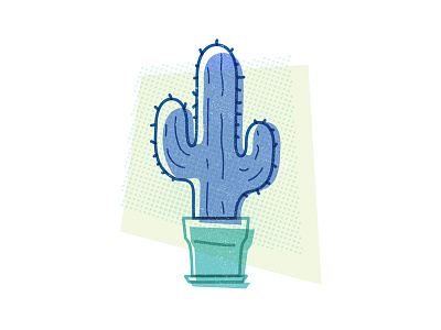 Cactus cactus illustration vector