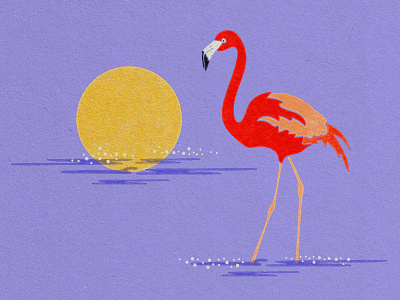 Flamingoooooooo animal illustration design flat design illustration illustration design illustrator minimalism nature illustration vector vector art