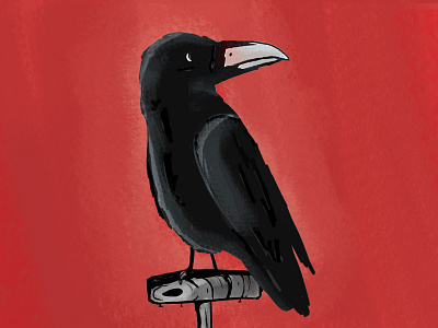 The Black Bird animals bird black design experiment illustration