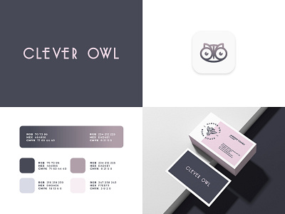 Clever Owl Branding app icon bird bird icon brand brand identity business cards colors icon logo logo mark logodesign logotype minimalism owl owl logo visual branding visual identity