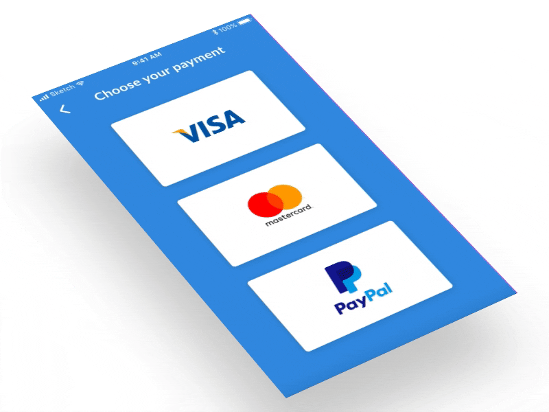 Credit Card Checkout animations credit card checkout dayliui dayliui002 flinto payment ui