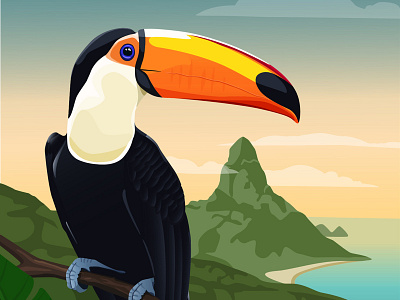 Toucan bird brazil illustration illustrator toucan tropical