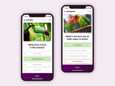 Quiz App - Weekly UI/UX app app design birds clean ios photograhy quiz ui ui ux user interaction user interface ux weekly weekly challenge