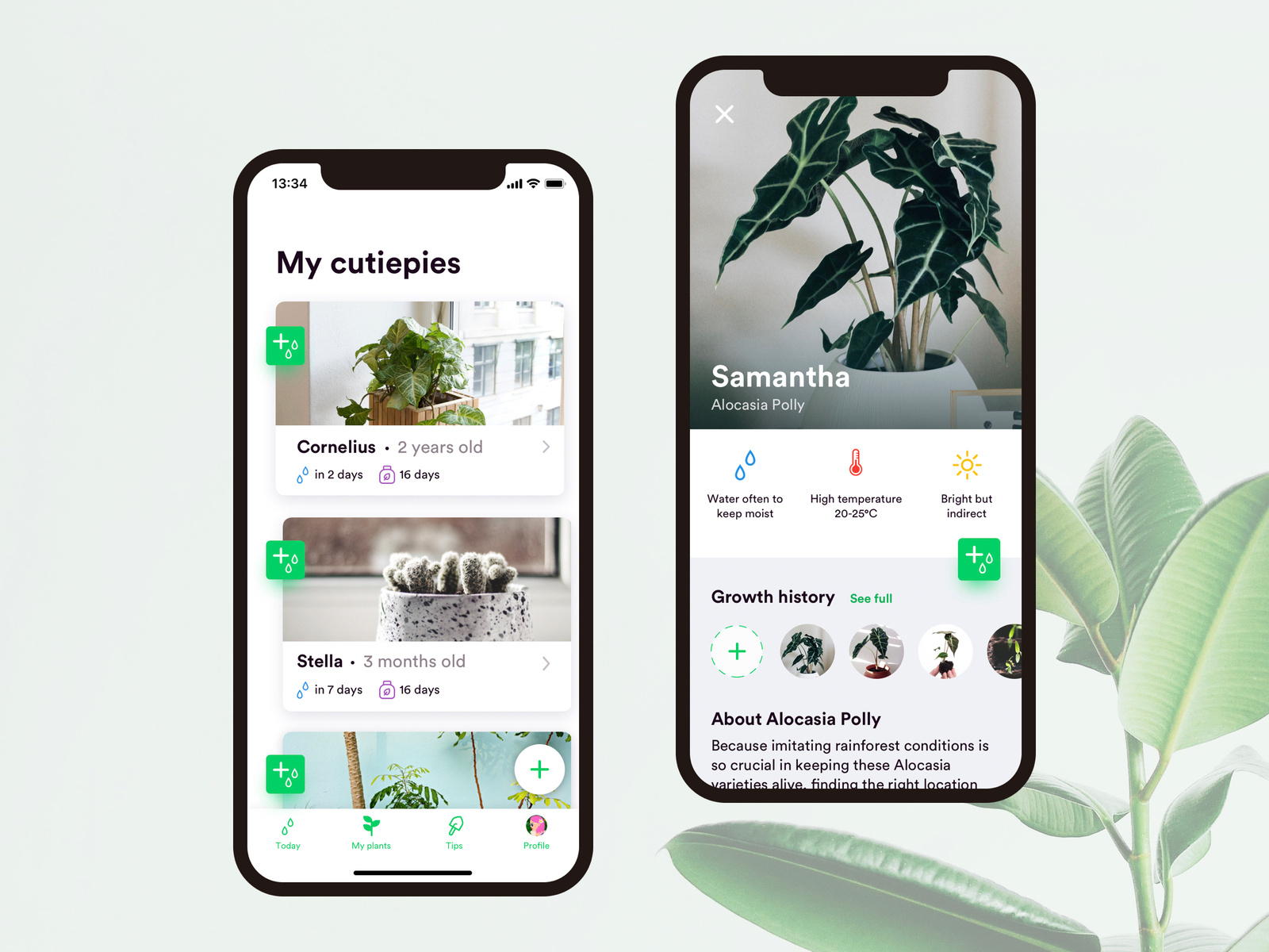 Watering Plant App Weekly UI/UX by Eva Dufey on Dribbble
