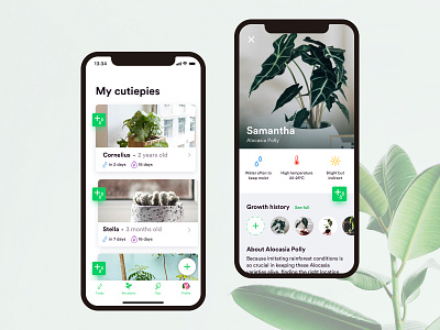 Watering Plant App - Weekly UI/UX app app design clean ios plants ui ui ux user interaction user interface ux ux ui watering weekly challenge