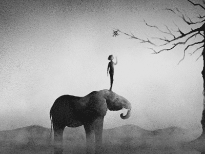 Animated Painting: Elephant after effects black and white elephant fog mist particular puppet tool trapcode tree watercolor watercolour