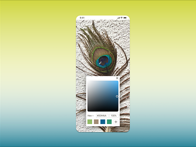 Daily UI :: 060 (Color Picker)