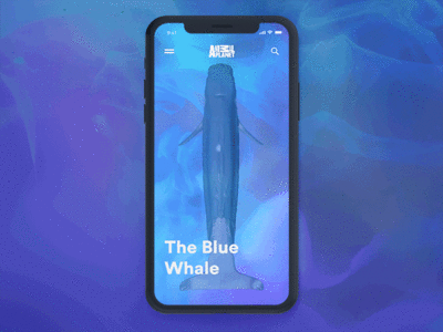 The Blue Whale - Animal Planet