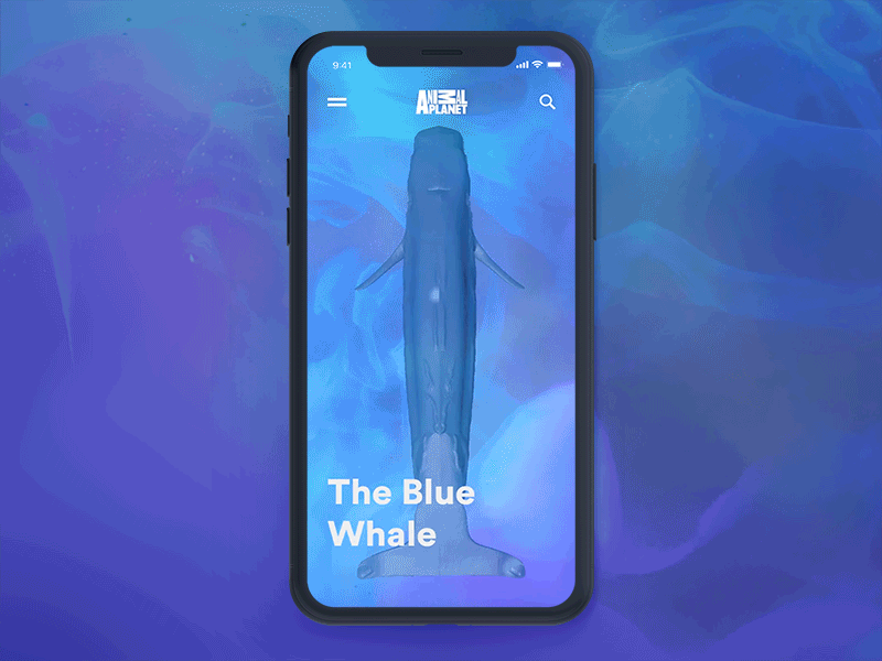 The Blue Whale - Animal Planet 3d aep animal animation app gif interaction ios mobile planet principle ui ux water whale
