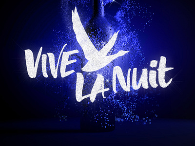 Grey Goose Vodka - Vive La Nuit Styleframes 3d 3d animation 3d art 3d artist after effects aftereffects animation arnoldrender branding c4d c4dart design motion design motiongraphics motionographer styleframe styletest