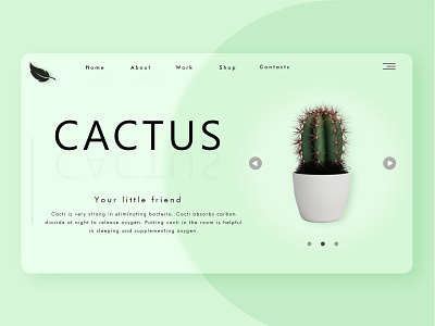 Cactus, your little friend