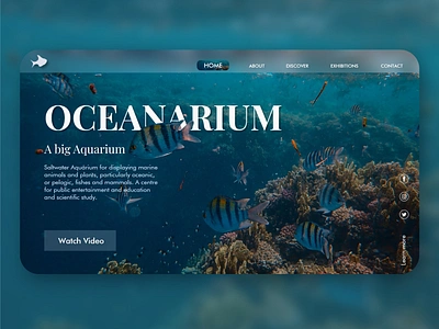 Oceanarium, salt water aquarium adobexd aquarium aquatic blue clean digitaldesign exploration fish graphicdesign landingpage logo ocean oceanarium sea typography uiconcept uiux uiuxdesigner water webdesign