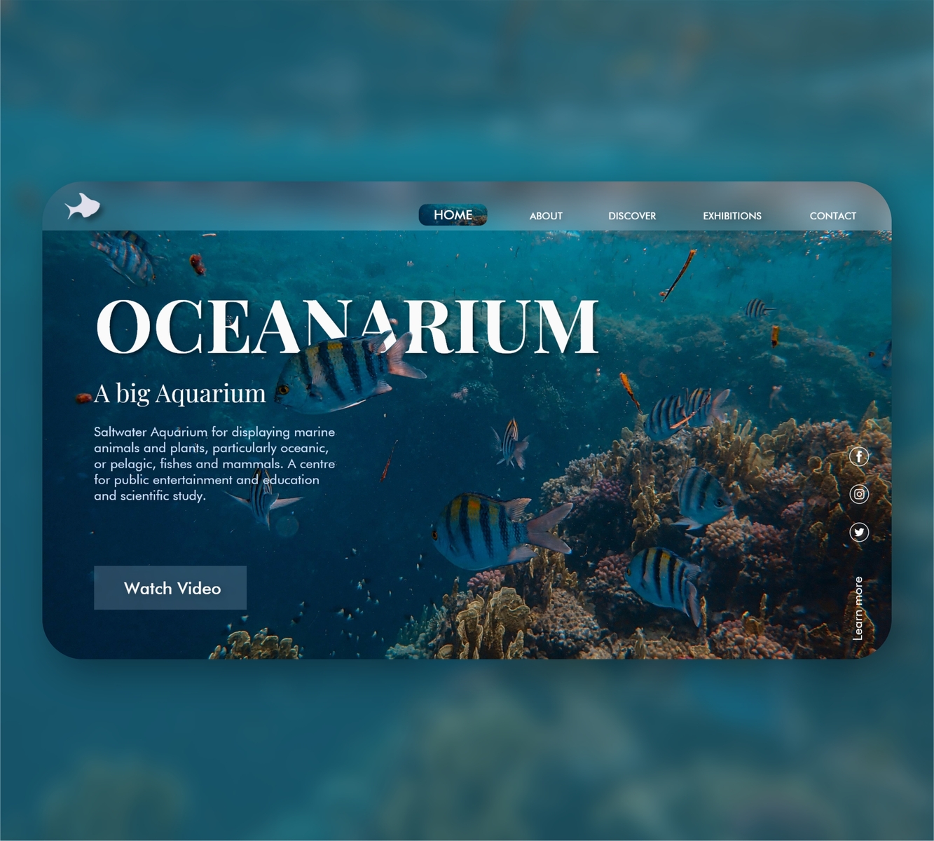 Oceanarium, salt water aquarium by CodedCup on Dribbble