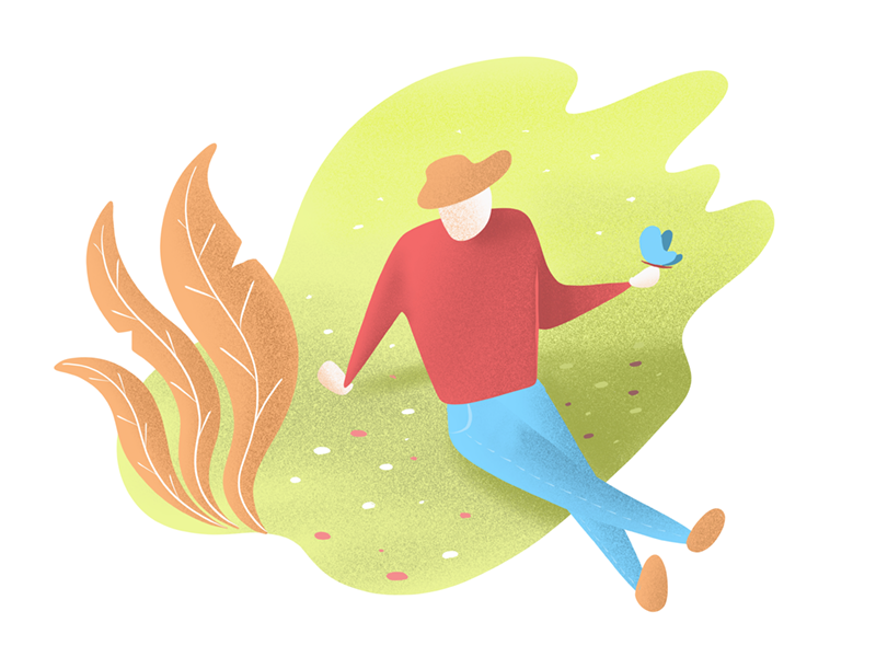 Butterfly nature procreate illustration webillustration