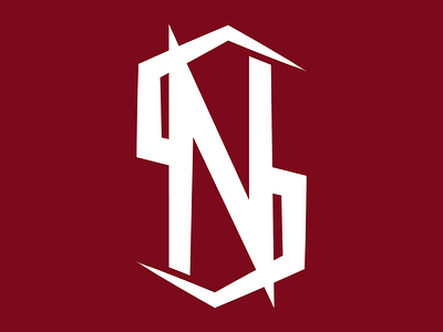 Nedlsalah® Personal Branding | NS | Monogram art branding design designs flat graphic design illustration logo vector