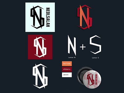 Nedlsalah® Personal Branding | NS | Monogram art branding design designs flat graphic design illustration logo vector