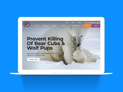 Defenders of Wildlife Website Redesign ux web design website website design