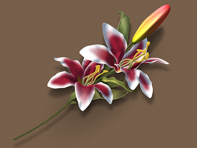 Flower flower illustration lily vector