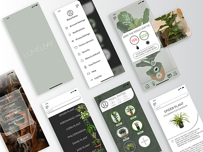 LumeLeaf App