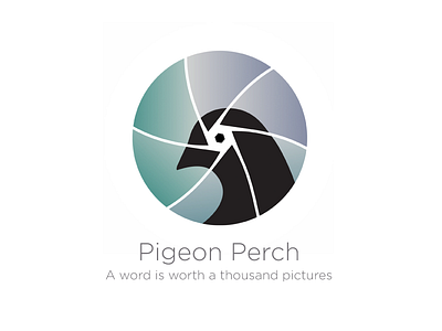 Pigeon Perch app bird brand brand guidelines perch photo photo sharing pigeon social