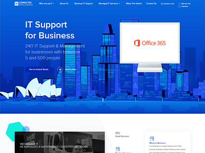 Website IT support