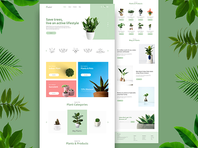 Plant Landing page ( daily UI - 003) 003 challenge daily ui 003 daily ui challenge dailyui dailyuichallenge design e commerce landing page plant plant landing page plant page product ui uiux ux web design