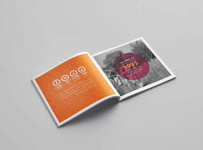 Brochure Design branding brochure design graphic design infographic design infographic elements ui