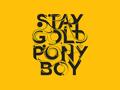 Stay Gold illustration lettering typography