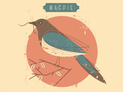 magpie bird branch illustration magpie worm