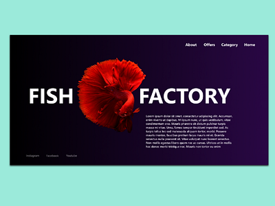 Fish factory ui ux designer