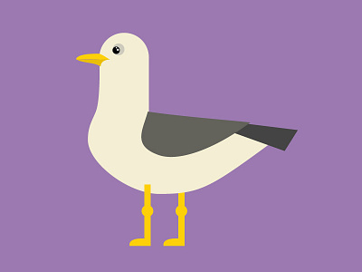 9 flat illustration seagull