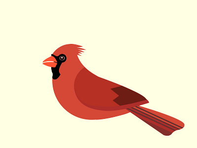 11 bird birds cardinal flat illustration red