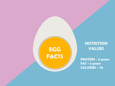 Egg boiled egg cooking egg flat food illustration infographic nutrition