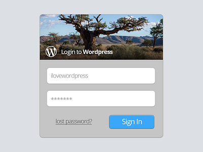 Wp Login (@2x for real pixels)