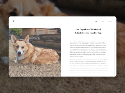 Blog post blog blog design blog post branding challange corgi daily ui daily ui 001 dailyuichallenge design designs girrrlscout page design ui web