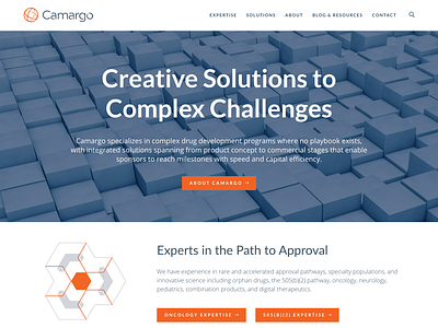 Camargo Pharma pharmaceutical website design wordpress wordpress design