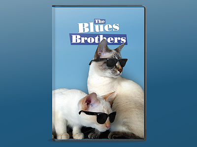 My Cats - The Blues Brothers blues brothers cats photoshop
