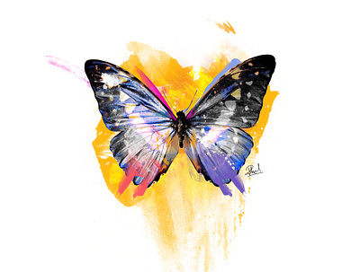 Butterfly digital art digital illustration digital painting photoshop