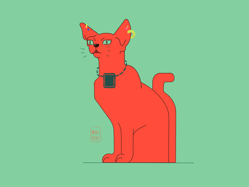 Orange cat by Marina Kharitonova on Dribbble