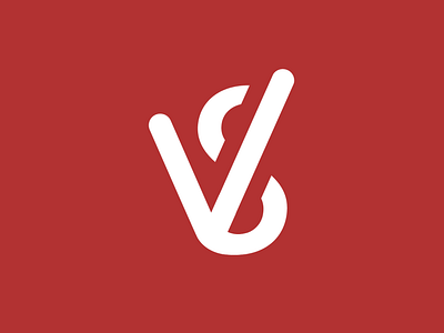 V+S Branding