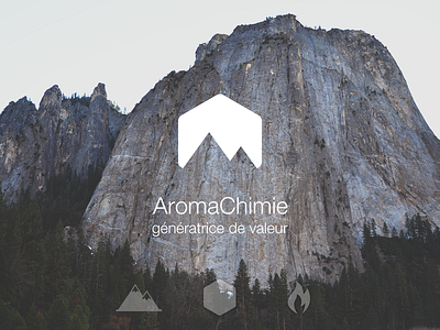 AromaChimie Logo aroma chimie fire hexagon logo mountain