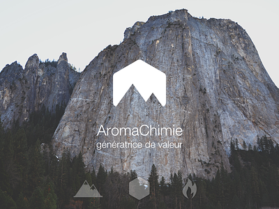 AromaChimie Logo