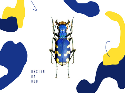 Design By God bug design by god god identity insect visual identity