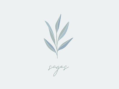 Sage art botanic branding concept design illustration logo minimal organic type typography vector