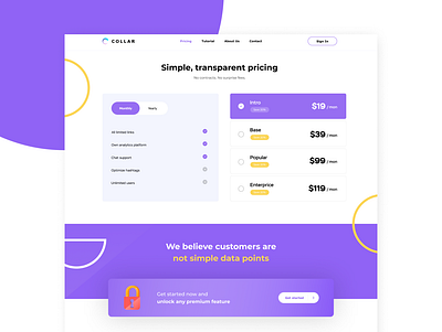 Pricing Page UI/UX branding design flat landing landing page minimal popular price price list pricing ui ux web website