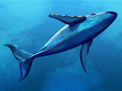 Whale