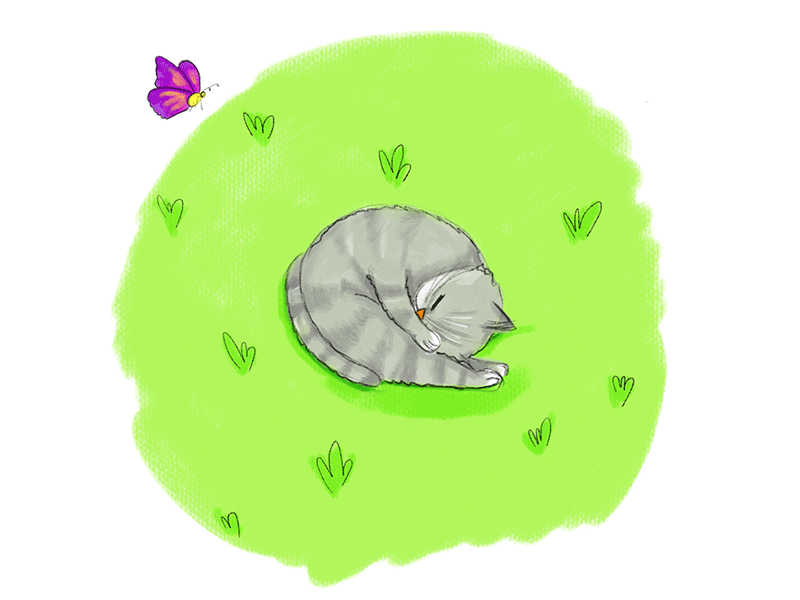 Sleeping cat butterfly cat procreate