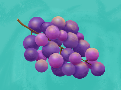 Grapes colorful food fruit grapes illustration illustrator photoshop purple