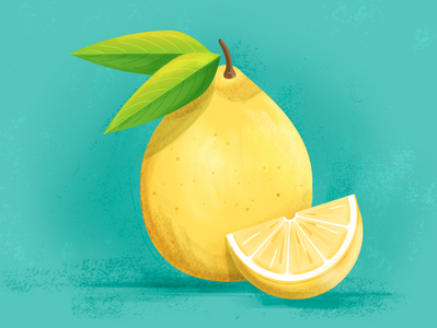Lemon blue bright colorful fruit green illustrator leaves photoshop yellow